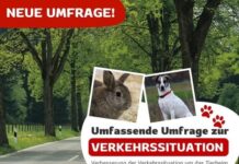 Bessere Anbindung für Mensch & Tier – Jetzt abstimmen!