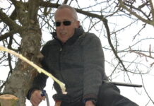 Obstbäume richtig pflegen und erhalten – Schnittlehrgang des Obst- und Gartenbauvereins Wieseck e.V.