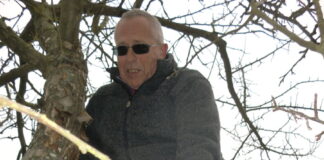 Obstbäume richtig pflegen und erhalten – Schnittlehrgang des Obst- und Gartenbauvereins Wieseck e.V.