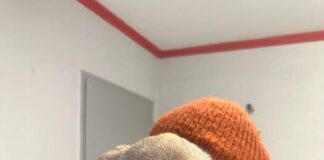 Gemeinsam die Welt entdecken? Crumble wartet auf dich!