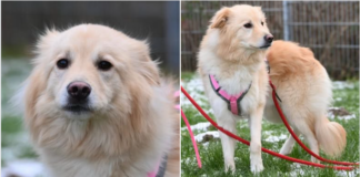 Wahre Freundschaft muss man sich erarbeiten