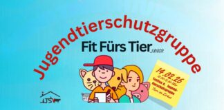 Tiere im Zirkus