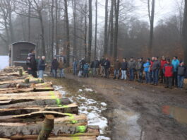 Holzversteigerung und Feiern wieder traditionell