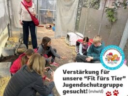 Gemeinsam für den Tierschutz: Unterstütze unsere Kids im Umgang mit Hund, Katze & Co