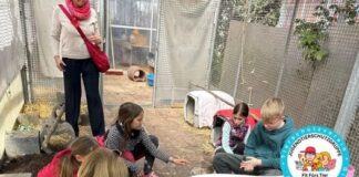 Gemeinsam für den Tierschutz: Unterstütze unsere Kids im Umgang mit Hund, Katze & Co