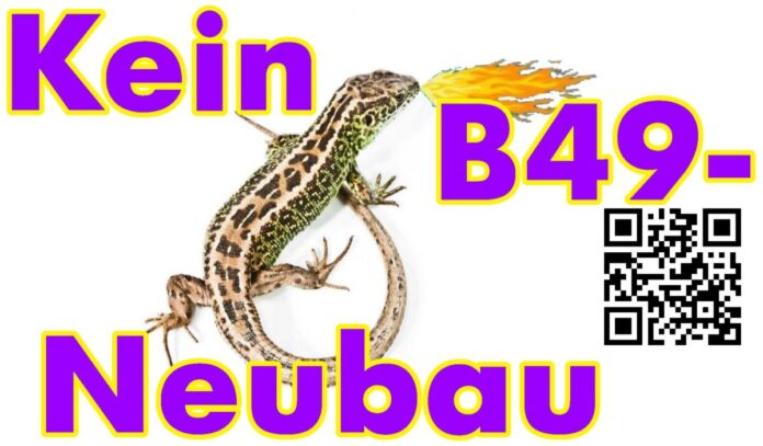 verkehr_b49_motiveidechse