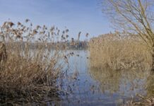 Wölfersheimer See ein Besuch wert