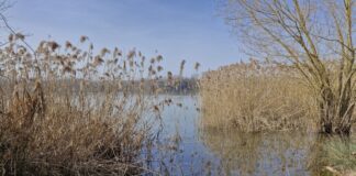 Wölfersheimer See ein Besuch wert