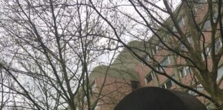 Mehr arbeitslose Jugendliche im Februar