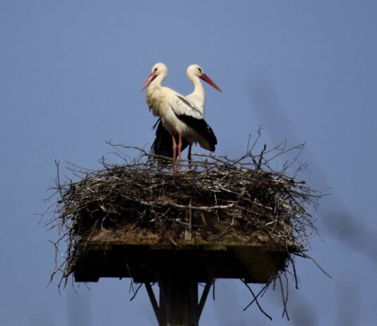 Meine Radtouren in Wort & Bild