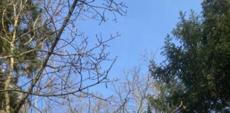 Führung im Botanischen Garten