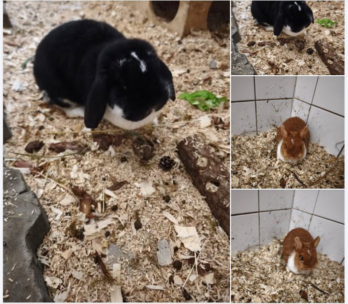 Screenshot 2026-03-05 093630