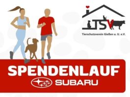 Endspurt zur Anmeldung! Nur noch bis zum 05.04. für den Spendenlauf registrieren