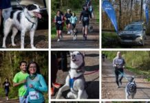 Zweiter Sponsorenlauf ,ein voller Erfolg!