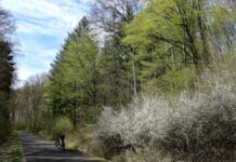 Meine Radtouren in Wort & Bild