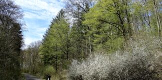 Meine Radtouren in Wort & Bild