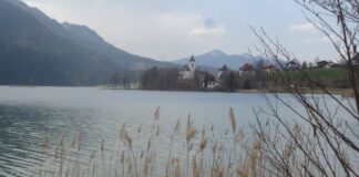 Rund um Weißensee und Alatsee (Allgäu)