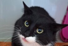 Gene – Zeit für ein neues Kapitel