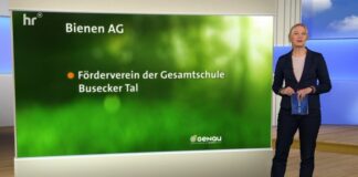 Summender Erfolg: Bienen-AG der IGS Busecker Tal gewinnt 5.000 €