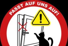 Tödliche Gefahr durch gekippte Fenster – unterschätzt und vermeidbar