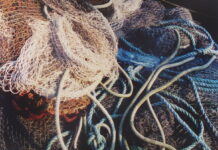 Schnappschuss: Netz? Netzwerk? Netzagentur?…