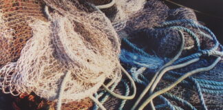 Schnappschuss: Netz? Netzwerk? Netzagentur?…