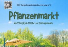 Pflanzenmarkt im KGV Gartenfreunde Waldbrunnenweg am Sonntag