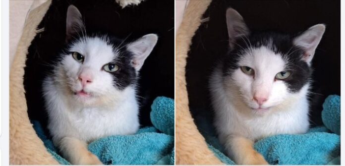 Screenshot 2026-04-09 103912