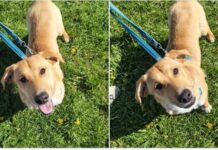 Schüchterner Charmeur sucht Anschluss: Jake möchte endlich ankommen