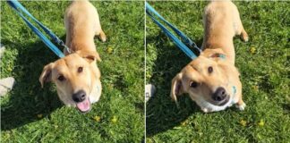 Schüchterner Charmeur sucht Anschluss: Jake möchte endlich ankommen