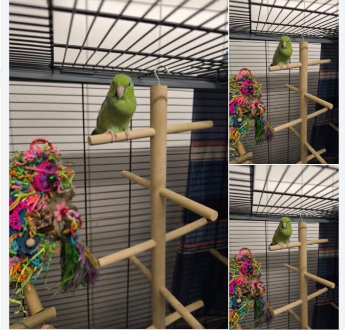 Screenshot 2026-04-27 111017