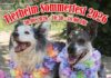 Save the Date zu unserem Sommerfest im Tierheim!