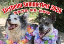Save the Date zu unserem Sommerfest im Tierheim!