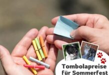 Tombola-Preise gesucht: Tierheim Gießen bittet um Unterstützung für das Sommerfest 2026!