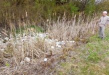Schwerer Umweltfrevel im Naturschutzgebiet “Steinkaute Holzheim”