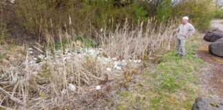 Schwerer Umweltfrevel im Naturschutzgebiet “Steinkaute Holzheim”