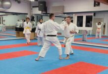 Training mit Thorsten Steiner beim Karate Gießen e.V.
