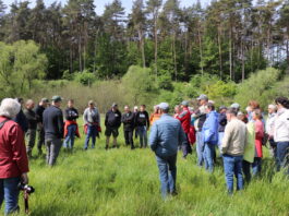 Nach Lardenbacher Grenzgang gab es Würstchen und Kuchen