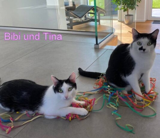 Geschwisterliebe!