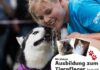 Ausbildungsstelle zum Tierpfleger (m/w/d)