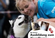 Ausbildungsstelle zum Tierpfleger (m/w/d)