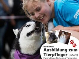 Ausbildungsstelle zum Tierpfleger (m/w/d)