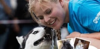 Ausbildungsstelle zum Tierpfleger (m/w/d)