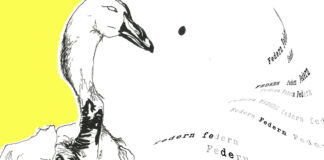 Fremde Federn ab 10. Mai
