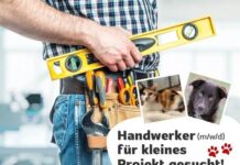 Gemeinsam bauen für den guten Zweck: Wir suchen fleißige Unterstützung!