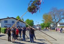 Viele Besucher kamen zur Maifeier mit Maibaum stellen nach Holzheim zur Spielgemeinschaft Musikzug FFW Pohlheim/Blasorchester Langgöns