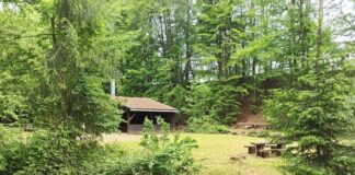 Themen-Wanderung (Erzweg-Süd): Wie der Vogelsberg unser Eisen erschuf.