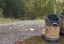 🥾 Neu in Hessen: Hessenwandern.de, das Portal für geführte Wanderungen in Hessen!