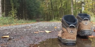 🥾 Neu in Hessen: Hessenwandern.de, das Portal für geführte Wanderungen in Hessen!