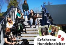 Erfahrene Hundebgleiter gesucht